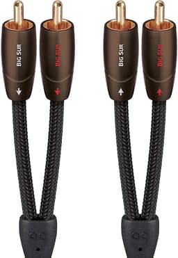 AudioQuest BIG SUR 3.3FT
