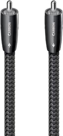 AudioQuest CARBON 3.3FT
