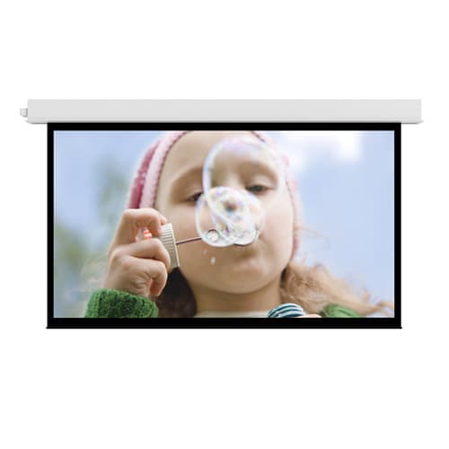 Da-Lite Advantage Electrol Matte White 119