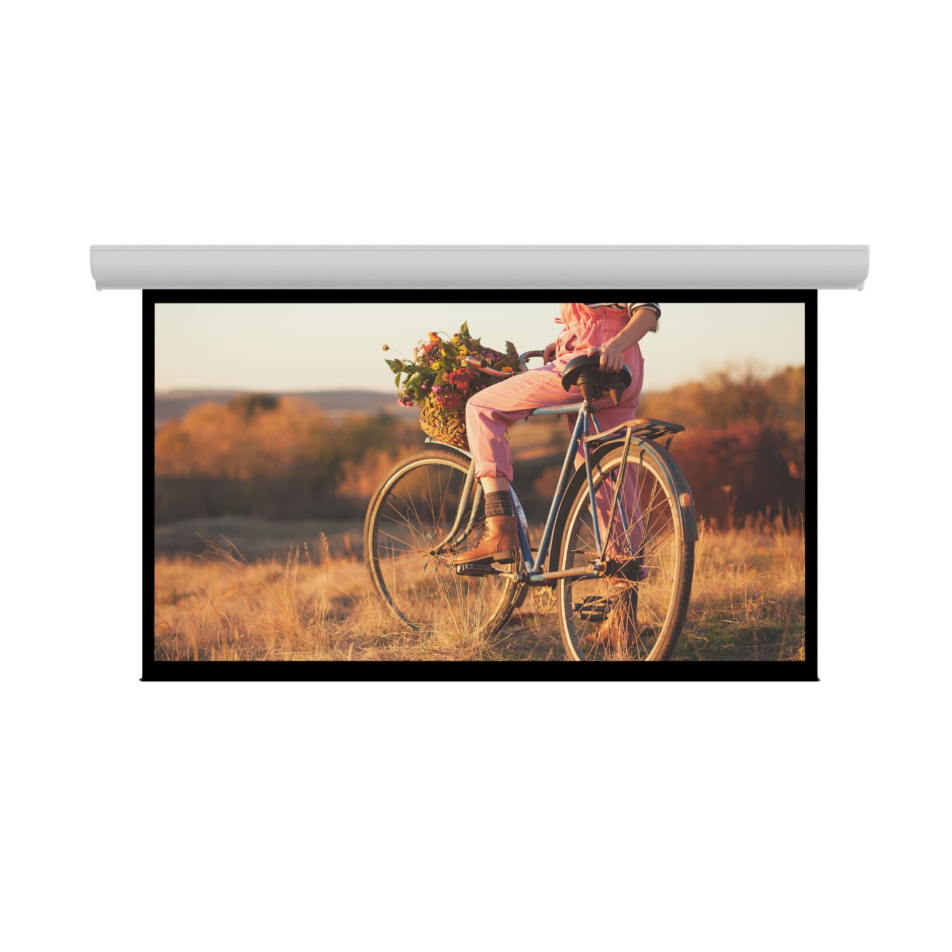 Da-Lite Contour Electrol Matte White 113